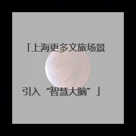 上海更多文旅场景引入“智慧大脑”