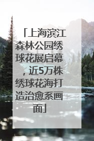 上海滨江森林公园绣球花展启幕，近5万株绣球花海打造治愈系画面