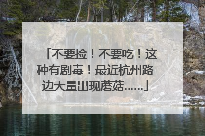 不要捡！不要吃！这种有剧毒！最近杭州路边大量出现蘑菇……
