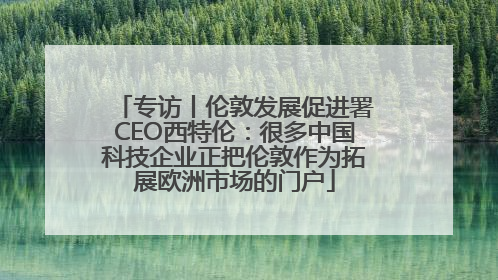 专访丨伦敦发展促进署CEO西特伦：很多中国科技企业正把伦敦作为拓展欧洲市场的门户