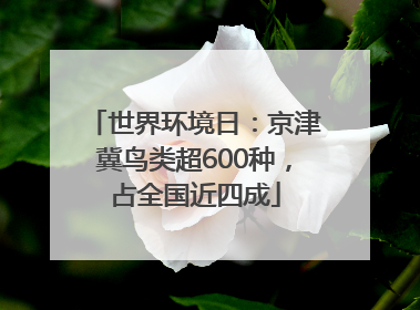世界环境日：京津冀鸟类超600种，占全国近四成