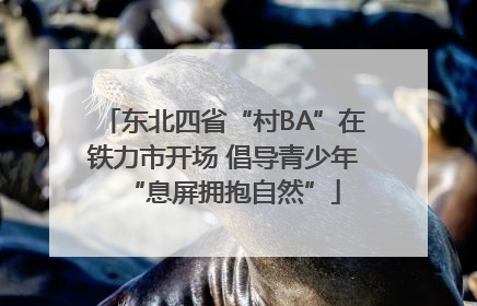 东北四省“村BA”在铁力市开场 倡导青少年“息屏拥抱自然”