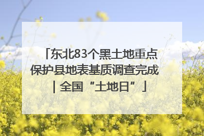 东北83个黑土地重点保护县地表基质调查完成｜全国“土地日”