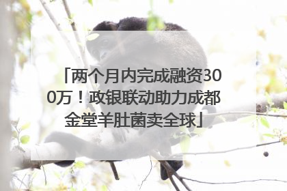 两个月内完成融资300万！政银联动助力成都金堂羊肚菌卖全球