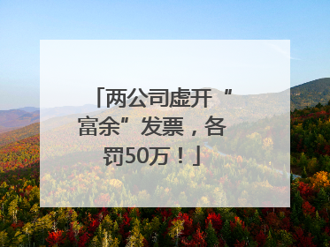 两公司虚开“富余”发票，各罚50万！