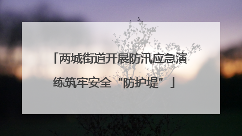 两城街道开展防汛应急演练筑牢安全“防护堤”