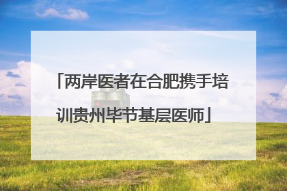 两岸医者在合肥携手培训贵州毕节基层医师