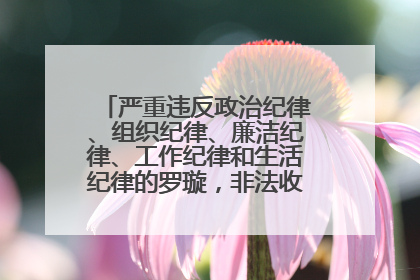 严重违反政治纪律、组织纪律、廉洁纪律、工作纪律和生活纪律的罗璇，非法收受他人巨额财物