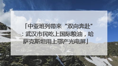 中亚班列带来“双向奔赴”：武汉市民吃上国际粮油，哈萨克斯坦用上鄂产光电屏