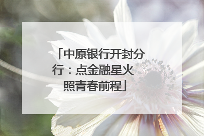 中原银行开封分行：点金融星火 照青春前程