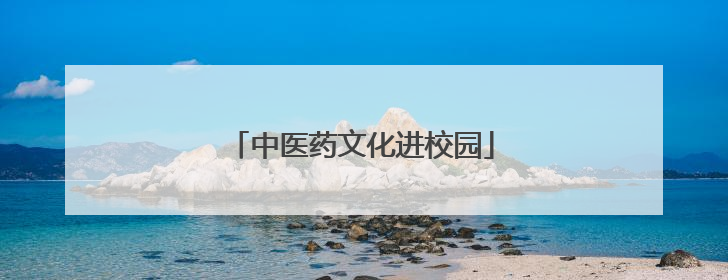 中医药文化进校园