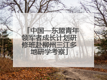 中国—东盟青年领军者成长计划研修班赴柳州三江多地研学考察