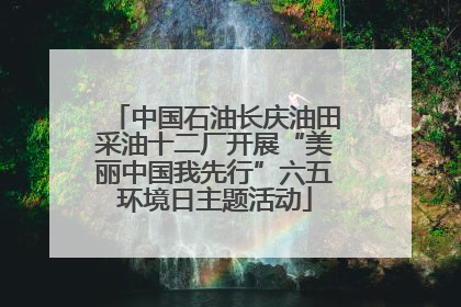 中国石油长庆油田采油十二厂开展“美丽中国我先行”六五环境日主题活动