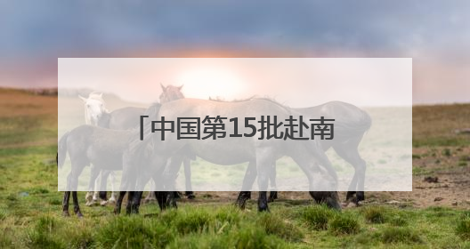 中国第15批赴南苏丹（瓦乌）维和部队参加联合国维和人员日纪念活动