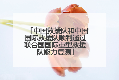 中国救援队和中国国际救援队顺利通过联合国国际重型救援队能力复测
