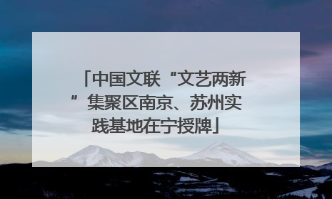 中国文联“文艺两新”集聚区南京、苏州实践基地在宁授牌