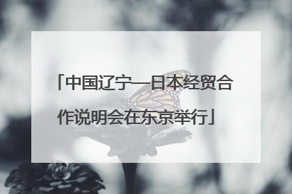 中国辽宁—日本经贸合作说明会在东京举行