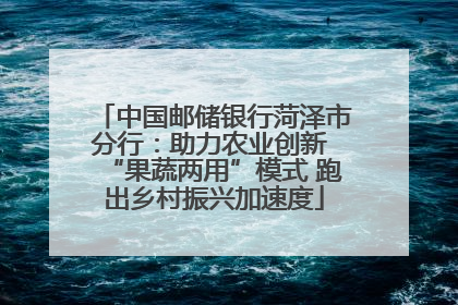 中国邮储银行菏泽市分行：助力农业创新 “果蔬两用”模式 跑出乡村振兴加速度
