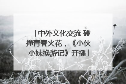 中外文化交流 碰撞青春火花，《小伙小妹换游记》开播