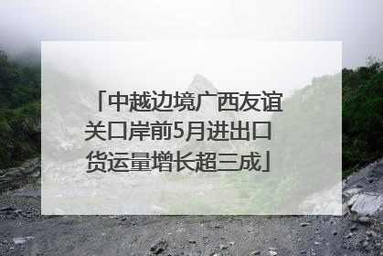 中越边境广西友谊关口岸前5月进出口货运量增长超三成