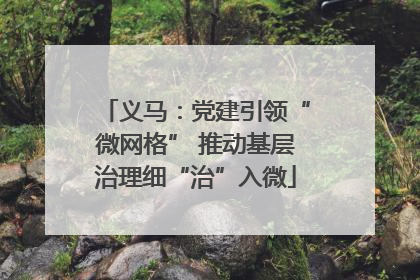 义马：党建引领“微网格” 推动基层治理细“治”入微