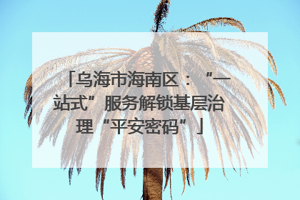 乌海市海南区：“一站式”服务解锁基层治理“平安密码”