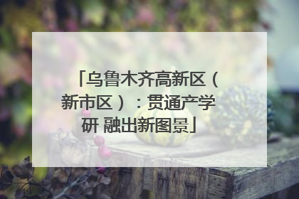 乌鲁木齐高新区（新市区）：贯通产学研 融出新图景