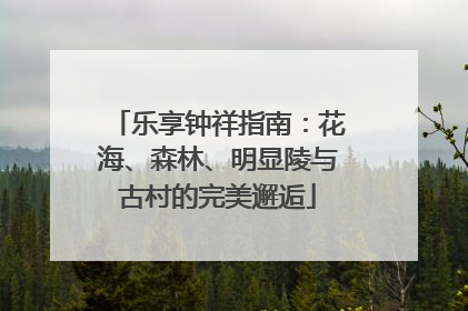 乐享钟祥指南：花海、森林、明显陵与古村的完美邂逅