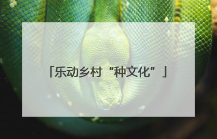 乐动乡村“种文化”