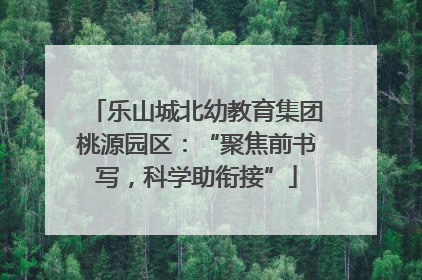 乐山城北幼教育集团桃源园区：“聚焦前书写，科学助衔接”