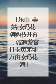 乐山-美姑·索玛花嗨购节开幕，诚邀游客打卡黄茅埂万亩索玛花海