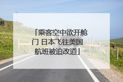 乘客空中欲开舱门 日本飞往美国航班被迫改道