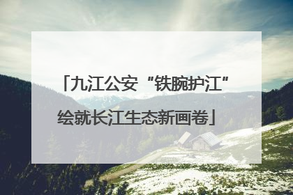 九江公安“铁腕护江”绘就长江生态新画卷