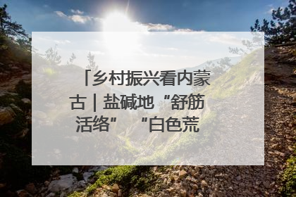 乡村振兴看内蒙古｜盐碱地“舒筋活络” “白色荒漠”长出吨粮田