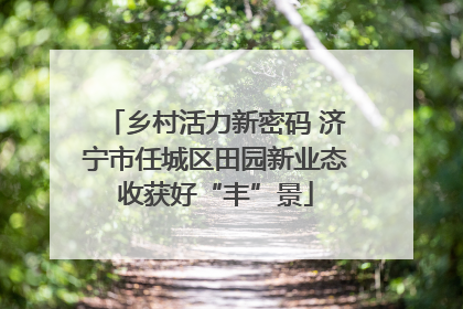 乡村活力新密码 济宁市任城区田园新业态收获好“丰”景