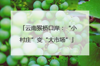 云南猴桥口岸：“小村庄”变“大市场”