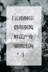 云南师宗：借电驭风，鲜花产业“破圈出海”
