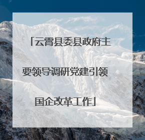 云霄县委县政府主要领导调研党建引领国企改革工作