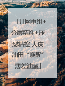 井网重组+分层精准+压裂精控 大庆油田“唤醒”薄差油藏