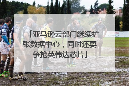 亚马逊云部门继续扩张数据中心，同时还要争抢英伟达芯片