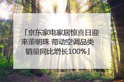 京东家电家居惊喜日迎来董明珠 带动空调品类销量同比增长100%