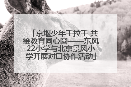 京堰少年手拉手 共绘教育同心圆——东风22小学与北京景风小学开展对口协作活动