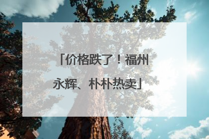 价格跌了！福州永辉、朴朴热卖