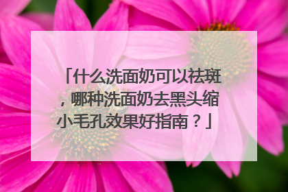 什么洗面奶可以祛斑，哪种洗面奶去黑头缩小毛孔效果好指南？