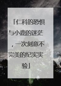 仁科的恐惧与小鹿的迷茫，一次刻意不完美的纪实实验