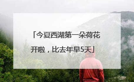 今夏西湖第一朵荷花开啦，比去年早5天