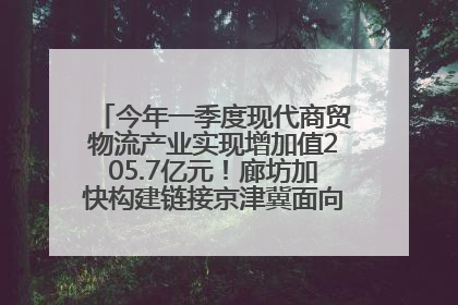 今年一季度现代商贸物流产业实现增加值205.7亿元！廊坊加快构建链接京津冀面向全世界的物流通道