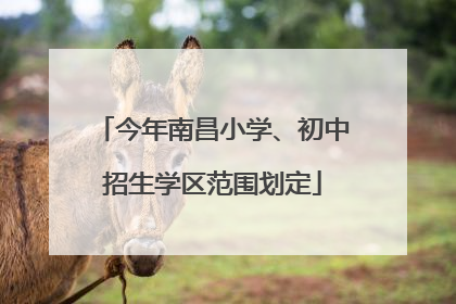 今年南昌小学、初中招生学区范围划定