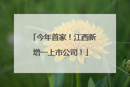今年首家！江西新增一上市公司！