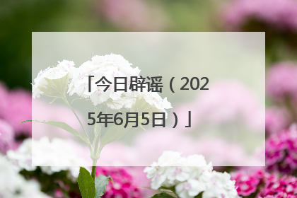 今日辟谣（2025年6月5日）